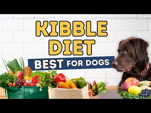 Is it Safe to Feed Your Dog Human Food? 10 Cheap Ways To Improve Their Kibble Diet