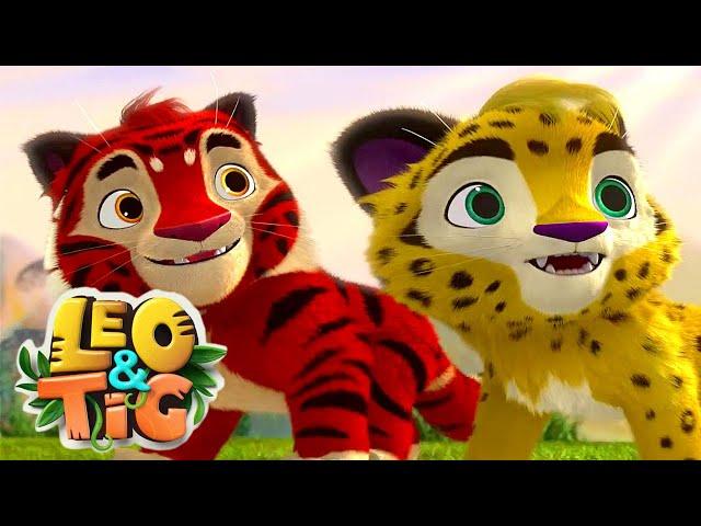 Leo and Tig  Best Stories  LIVE  Funny Family Good Animated Cartoon for Kids