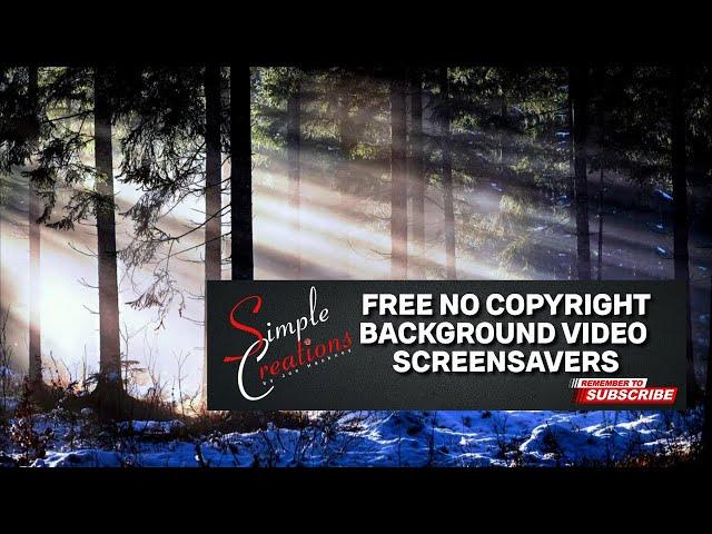 Free No Copyright Winter Forest Snowing Sunrise Video with Emotional Melodic Piano @MikeOutlandMusic