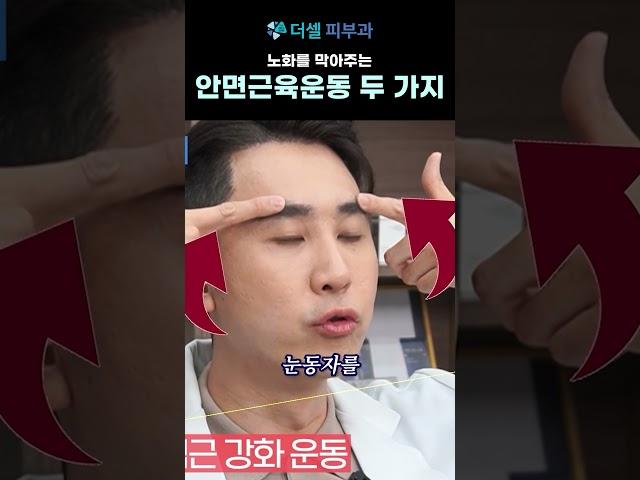 피부과 전문의가 알려주는 노화를 막아주는 안면근육 운동 두가지 #피부노화
