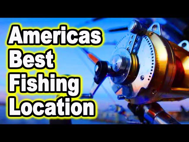Tuna Fishing in Venice Louisiana