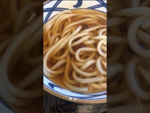 Exploring the Soulful Elegance of Udon: Japan's Beloved Comfort Noodle