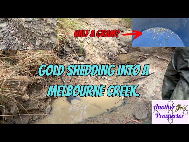 Can I find Half a gram of Gold Panning in this Melbourne Creek?