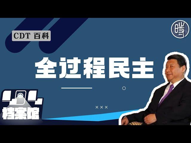 【CDT百科】“全过程民主”是什么梗？为何被称为“全票通过的民主”