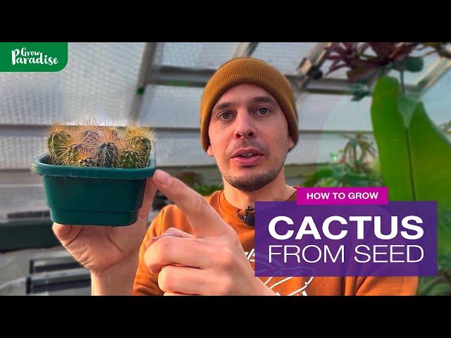 How to grow Cactus from seeds | Step-by-step guide