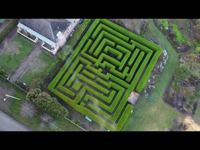 Harper’s Mansion Maze