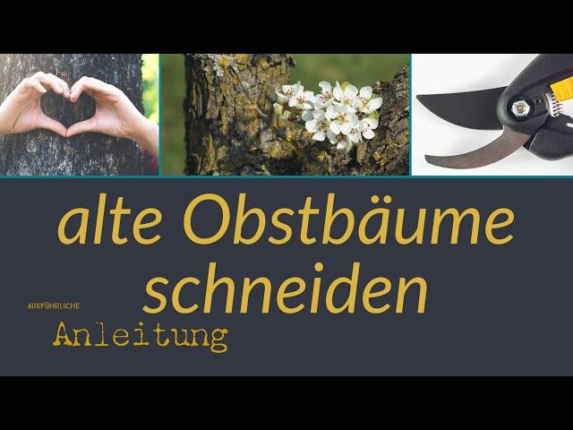 Wie alte Obstbäume schneiden? Ausführliche Erklärung!