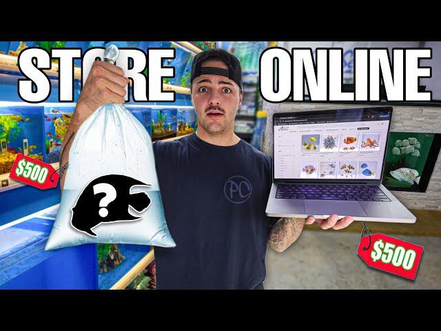 Buying FISH online vs store for My SALTWATER PONDS!!