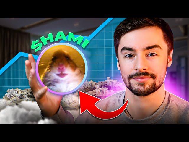 Running a Multi-Million Dollar Solana Meme Coin Project ($HAMI Update 11)