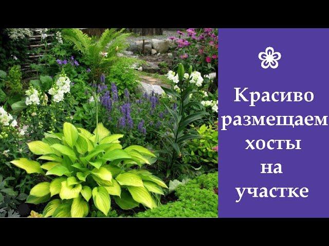  Красиво размещаем хосты на участке