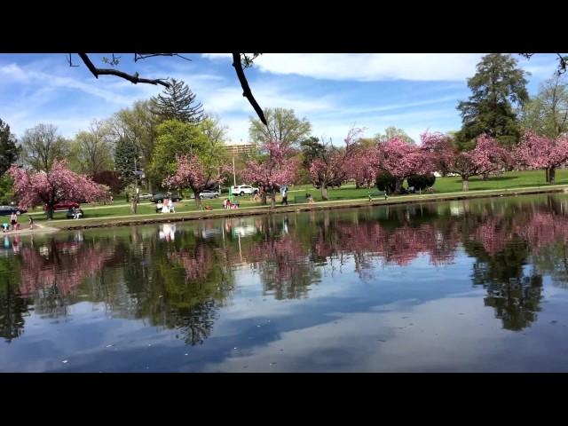 Passaic Park