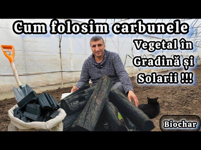 Carbune Vegetal – Cum Să Îmbunătățești Solul Natural în Grădina Ta Bio!