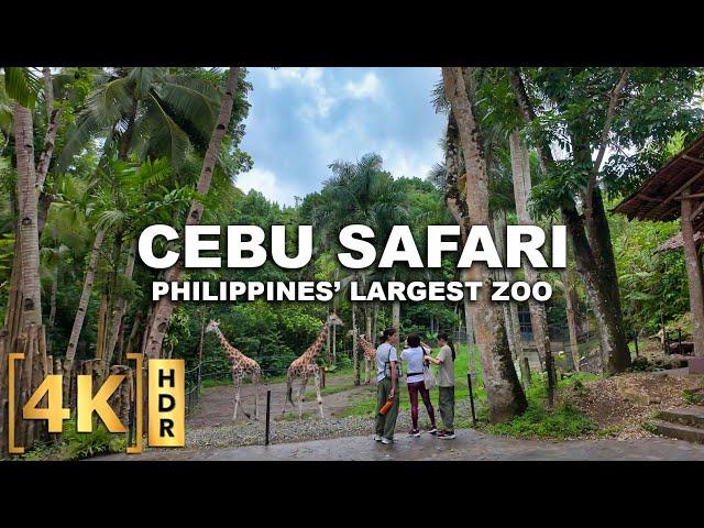 Full Tour at the LARGEST Zoo in the Philippines! CEBU SAFARI & ADVENTURE PARK | Carmen, Cebu