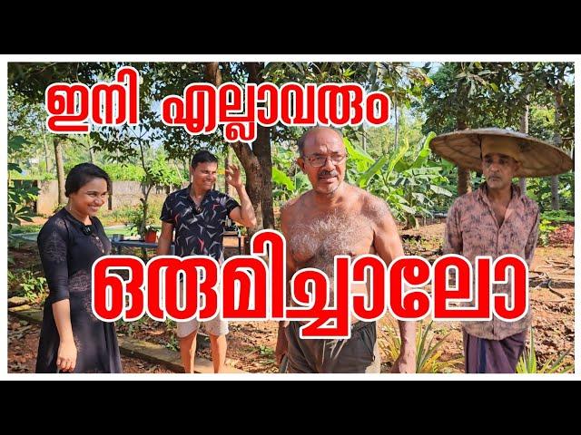 എല്ലാവരും ഒരുമിച്ചാൽ /Healthy breakfast/Village life/Village cooking/Farm /Krishi/AJU'S WORLD