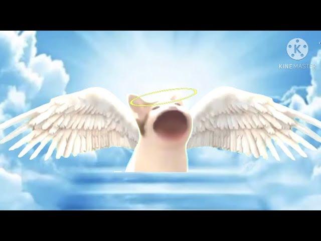 Pop Cat dies and goes to heaven