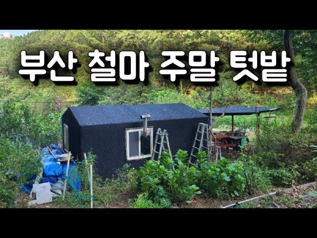 3269번) 부산 철마땅 농막설치 주말텃밭 철마토지 매매 기장땅 땅선생 기장토지 철마임야