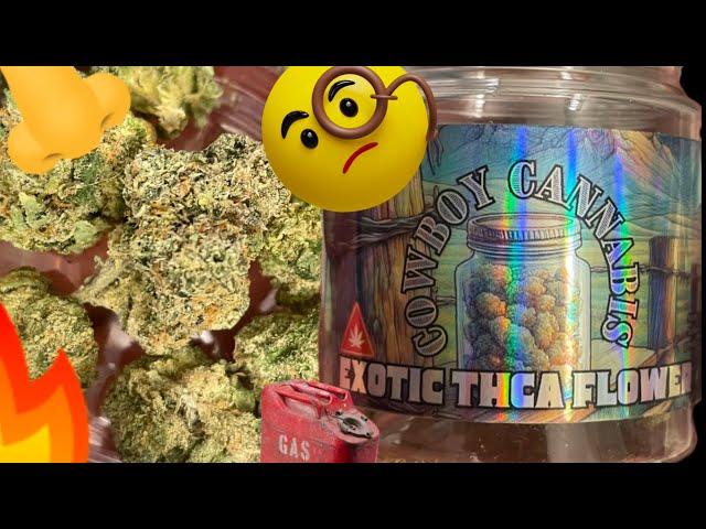 Trying Shrek THCa flower from Cowboy Cannabis! Cannabis and Coffee reviews!