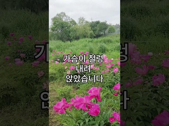 서운했던 시어머니의 한 행동에 마음이 녹아내렸습니다