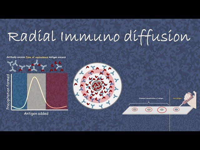 Radial Immuno Diffusion