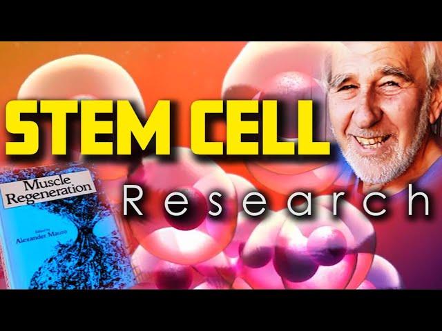 Pioneering Stem Cell Research in 1967