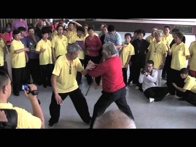 Push Hands - Rou Zhou - featuring Fu Sheng Yuan