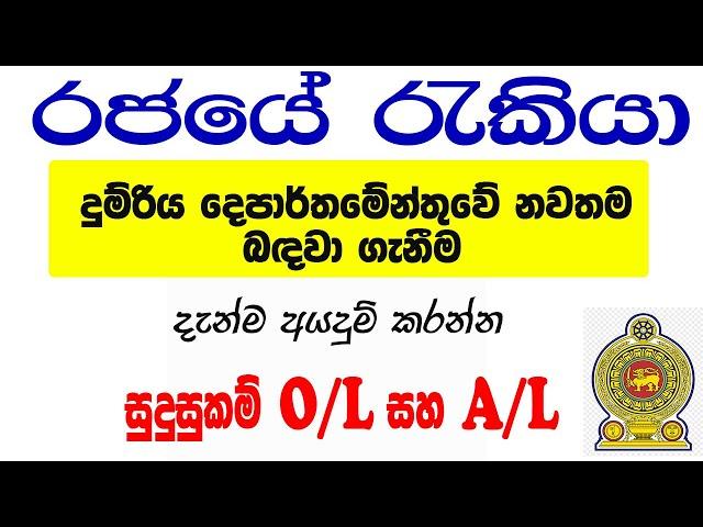 ශ්‍රී ලංකා දුම්රිය දෙපාර්තමේන්තුවේ රැකියා ඇබෑර්තු | government job vacancies 2024 Sri Lanka