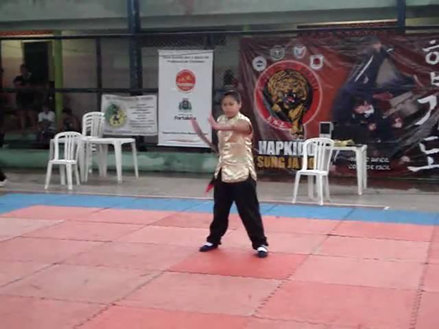 FAMILIA KUNG FU HUNG GAR (ASSOCIAÇÃO PUNHOS UNIDOS FORTALEZA)