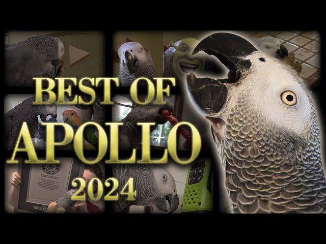 Apollo's 2024 Recap