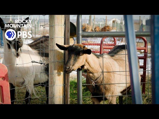 Bone dry: Farming in an extreme drought