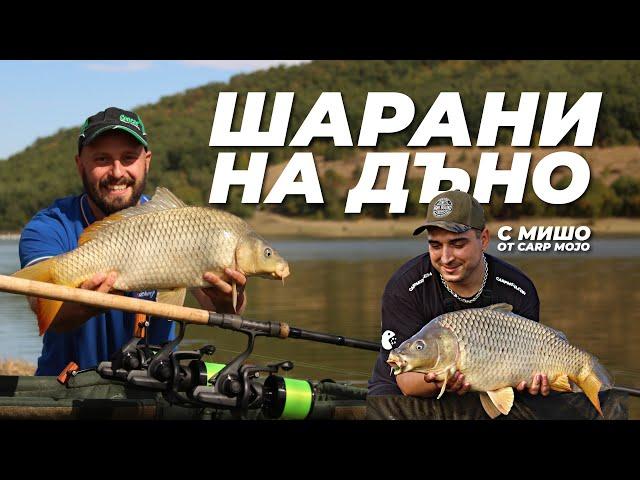 ШАРАНИ на ДЪНО - РИБОЛОВ и МОНТАЖИ с CARP MOJO