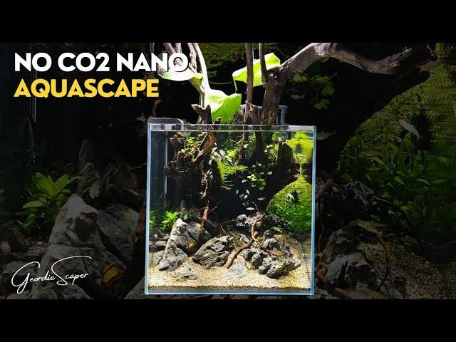 Step by Step Tutorial AQUASCAPE in 30cm Nano AQUARIUM | NO CO2 INJECTION