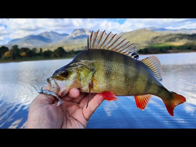 The fishing hat trick 3 fish in 3 casts