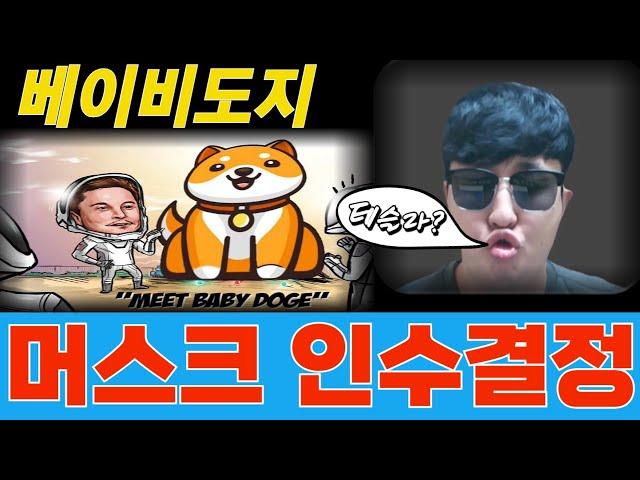 베이비도지코인 일론머스크가 인수하다? 이게 무슨소리야