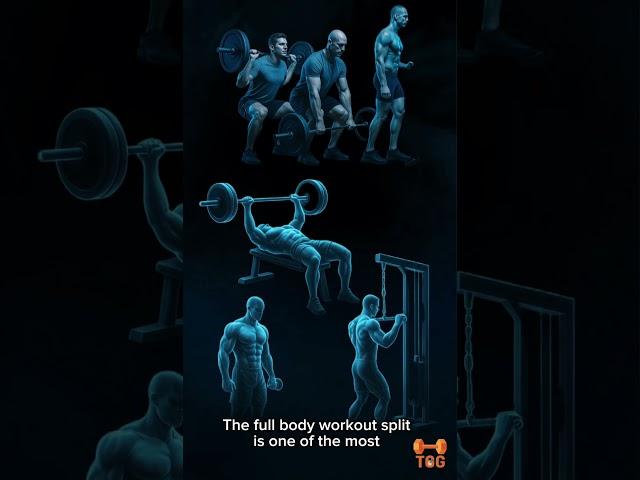 Full Body Split Quick Breakdown: Explained in 50 Seconds! #beginnerworkout #fullbodyworkout