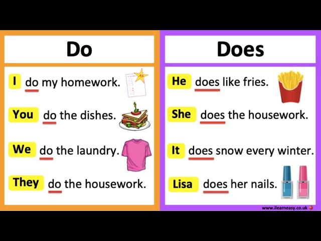 DO vs DOES  | What's the difference? | Learn with examples