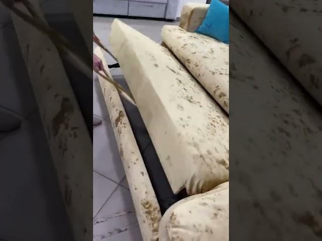 Угловой диван Браво от мебельной фабрики Пегас