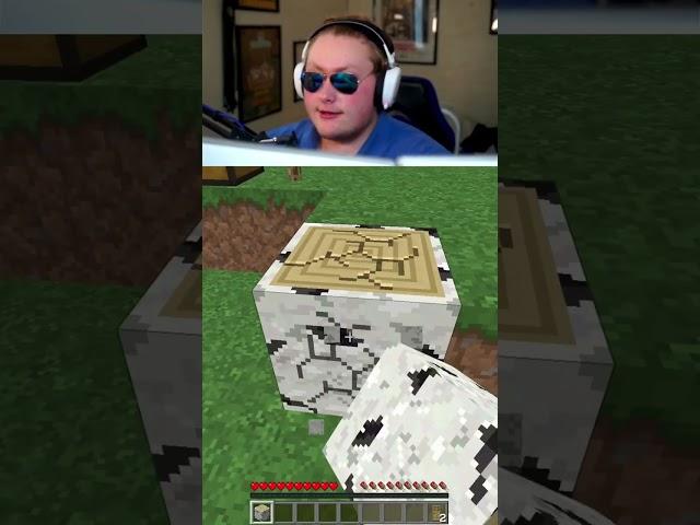 How To Make A Birch Door In Minecraft. #loopkill2 #gaming #minecraft #howto #shorts