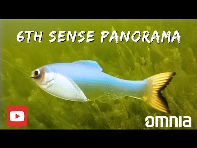 Unboxing and Rigging the New 6th Sense Panorama: Underwater Footage and Tips!