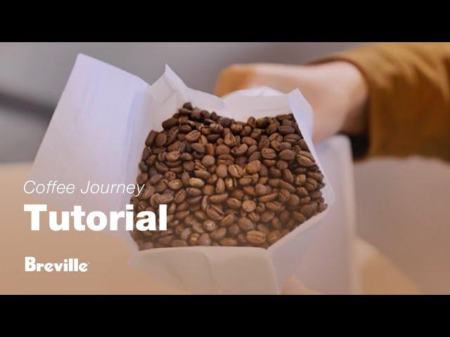 Coffee Tutorials | Selecting the right coffee beans | Breville USA