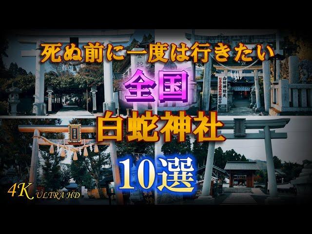 【2025年 巳年】必ず参拝したい神社