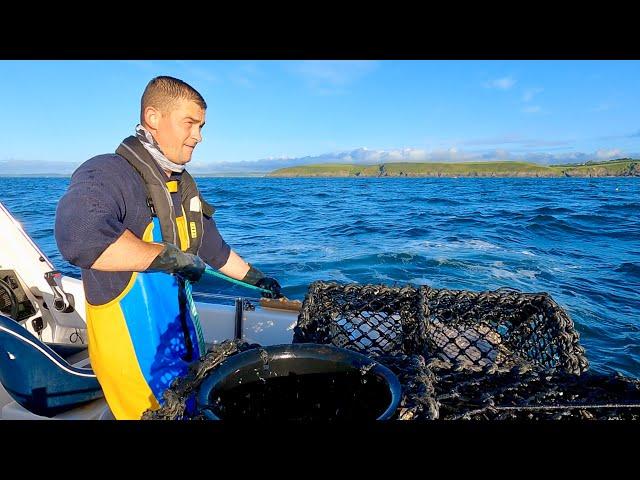 Hauling the FishLocker Lobster Pots - Summer 2024 | The Fish Locker