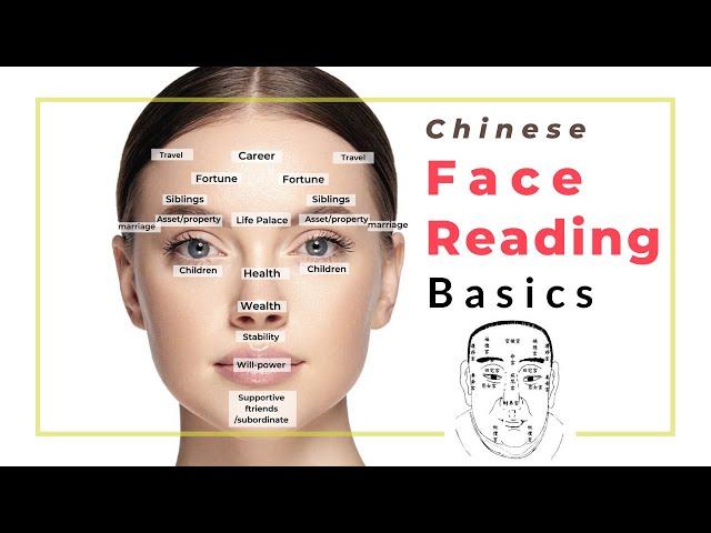 The Chinese Face Reading Basics