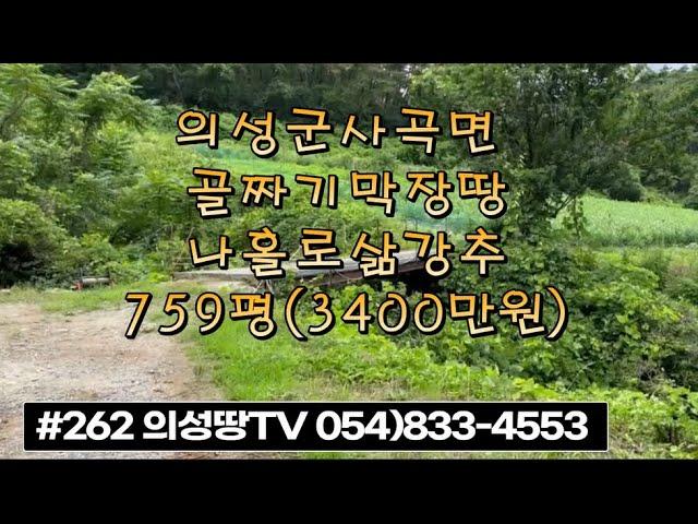 #262 의성땅TV 계곡안 막장땅 계곡물철철 연못 정자옆 묵은밭 경관좋음 759평 3400만 (당4.5만) 미꾸라지 양식가능 나홀로 쉼터 싼땅 #의성땅#귀농귀촌#주말농장#자연인