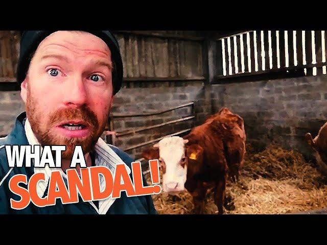 The Farm Scandal | Short Stuff | BBC Scotland Comedy