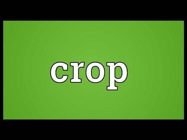 Crop Meaning