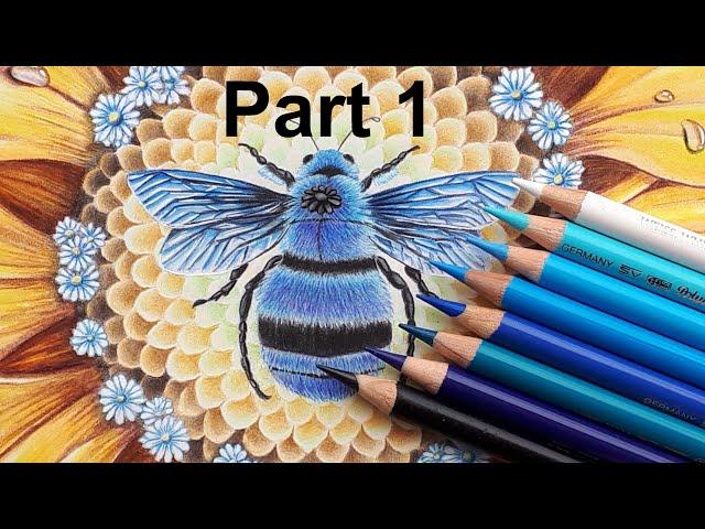Colour a Blue Bee ! Part 1 : FUR EFFECT - Flourish - Johanna BASFORD