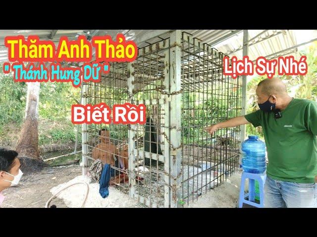 Đến Thăm Anh Thảo '' Thánh Hung Dữ '' Thuận Phạm Official