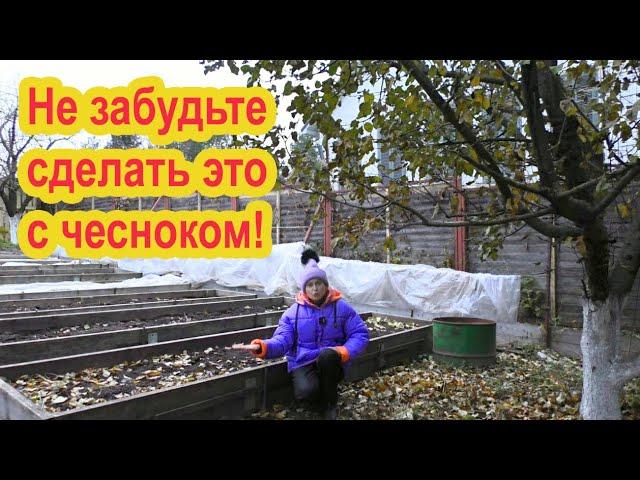 Не забудьте укрыть чеснок!