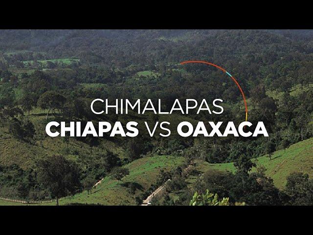 La SCJN resuelve históricamente a favor de los Chimalapas de Oaxaca y no de Chiapas