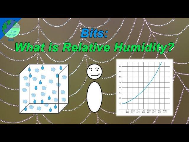 What is relative humidity?